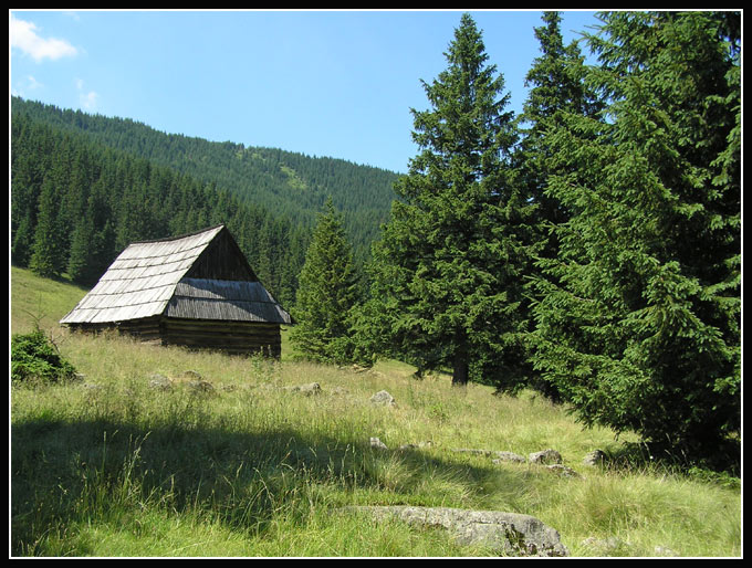 Chatka (w drodze na "Gęsią Szyję")