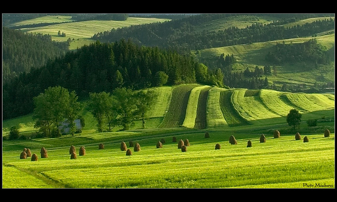 Pieniny