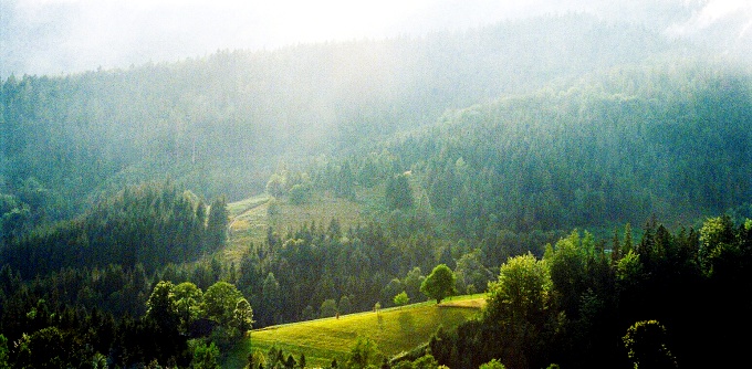 Beskidy po deszczu