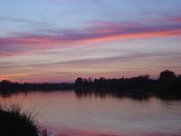 NAREW