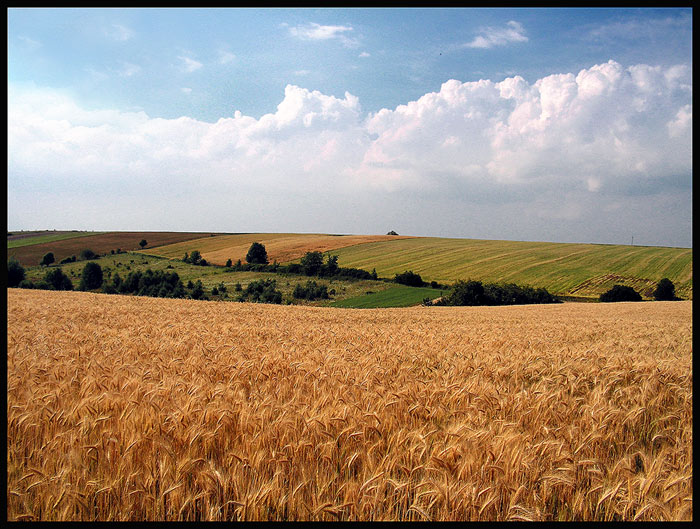 Słup w okolicach Adamowa