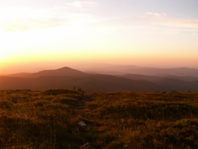 śnieżnik