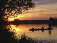 Narew II