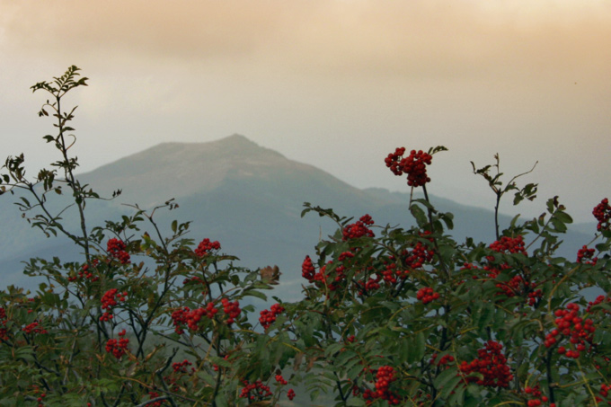 Smerek #2 - Bieszczady, wrzesień 2005