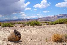 Pustynia Nevada