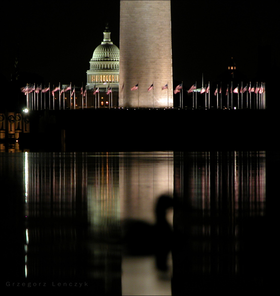 Washington by night