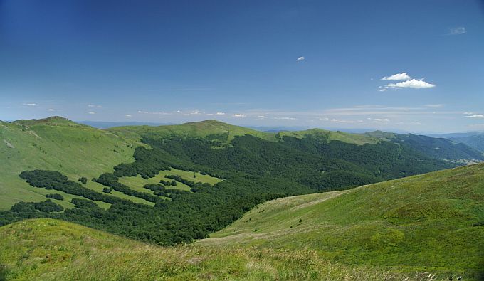 Niedźwiedzia Dolinka a połoniny ponad nią