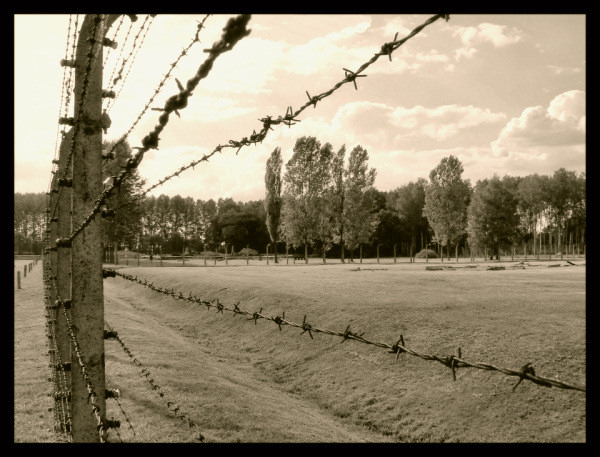 ...Auschwitz...