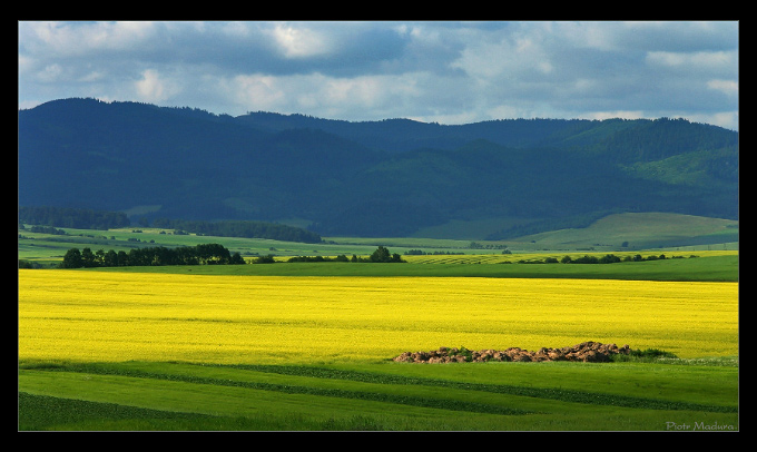 SLOVAKIA