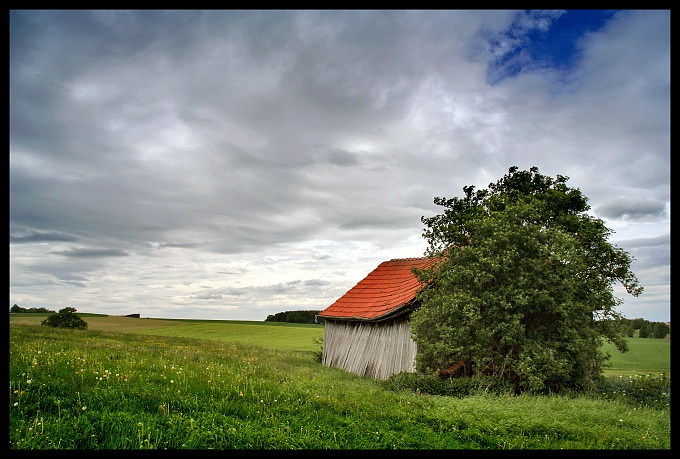 sąsiedzi