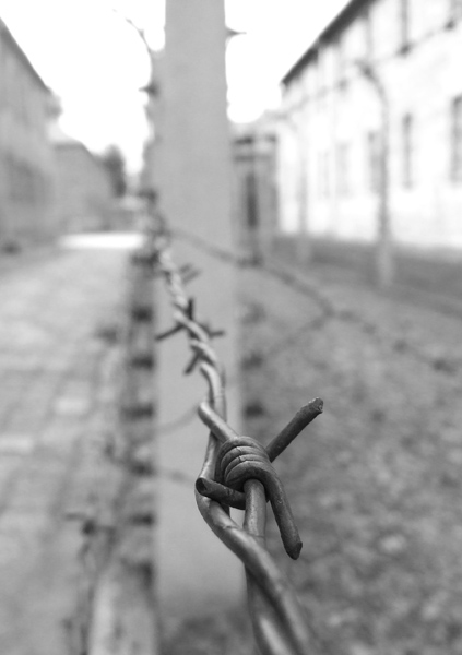 Muzeum Auschwitz-Birkenau, kolejne z serii wkrótce