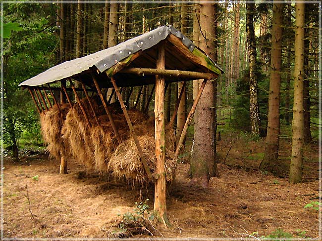Paśnik
