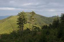 Beskid Sądecki