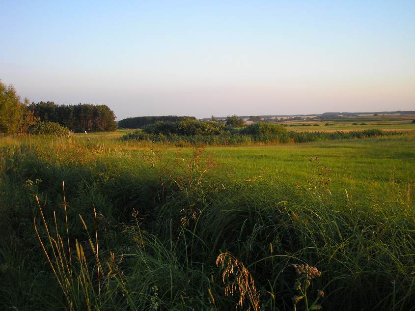 rzeczka ukryta we włosach traw