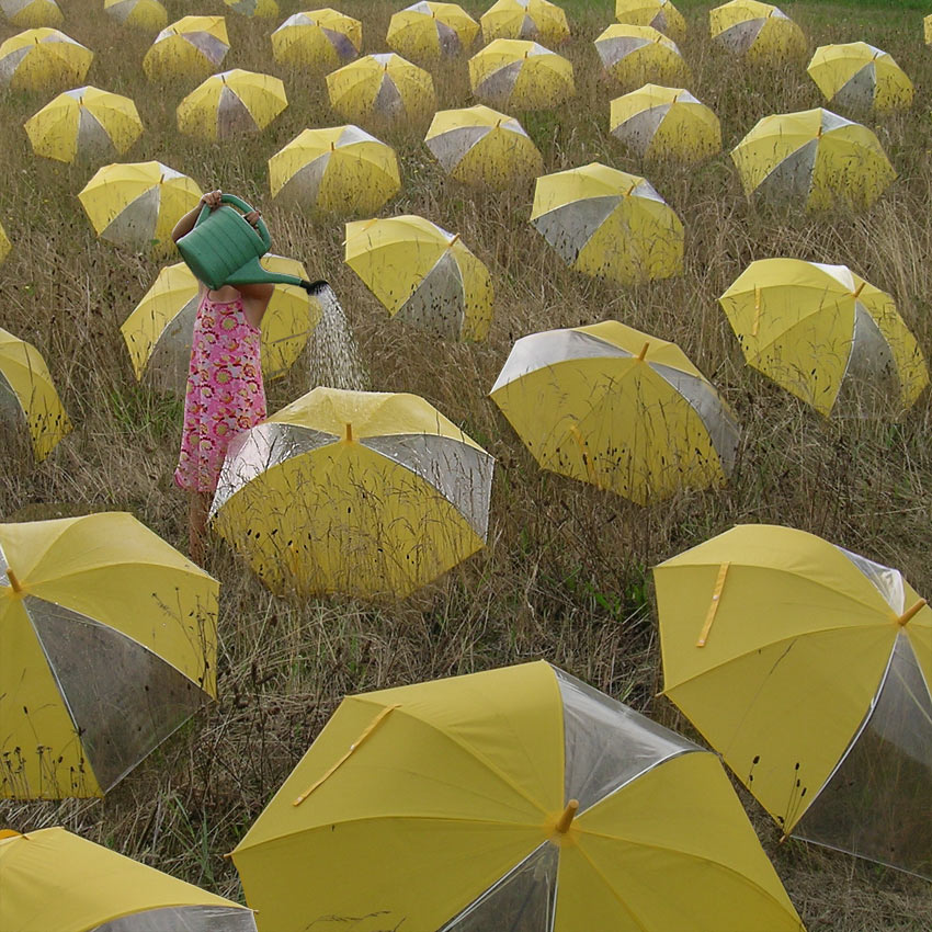 umbrella fields forever