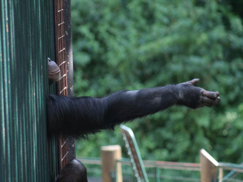 Ostrava zoo