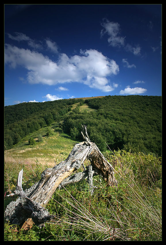 Bieszczady V