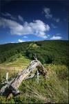 Bieszczady V