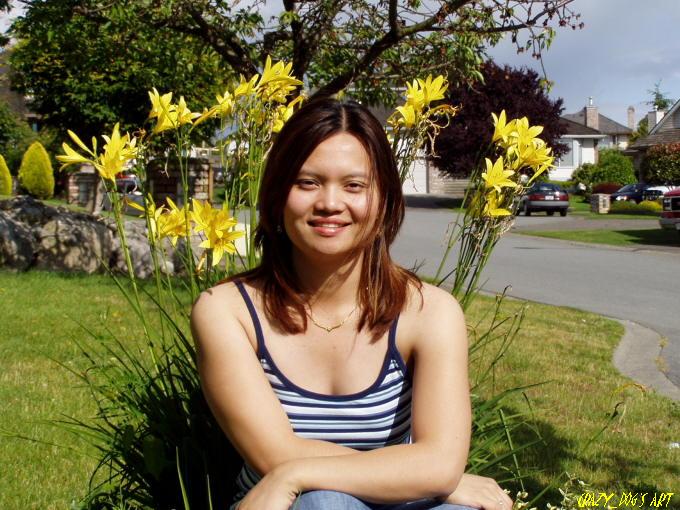 Yellow flowers