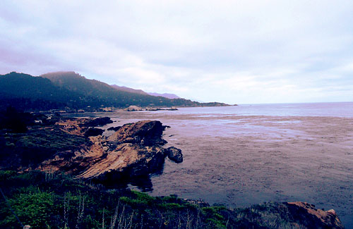 point lobos