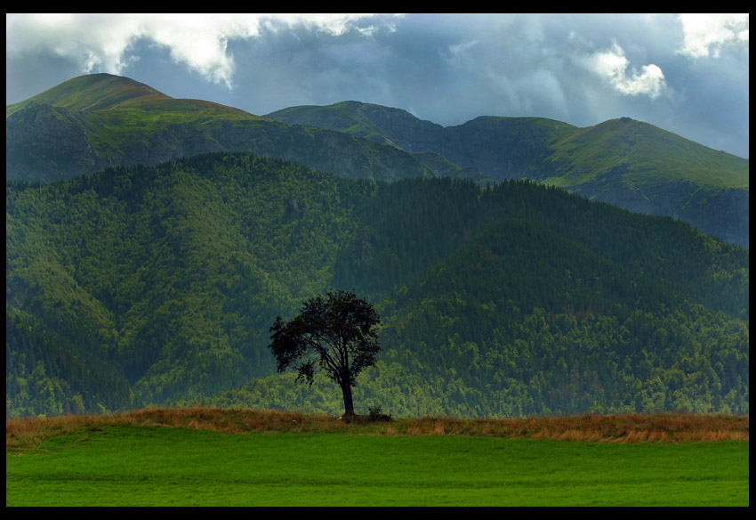 Tatry z Butorowego Wierchu