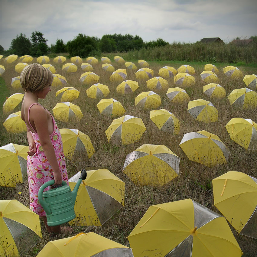 umbrella fields forever