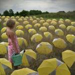 umbrella fields forever