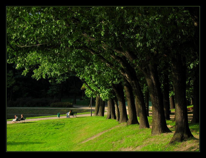 W oczekiwaniu na jesienne barwy...