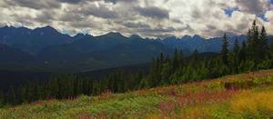 tatry