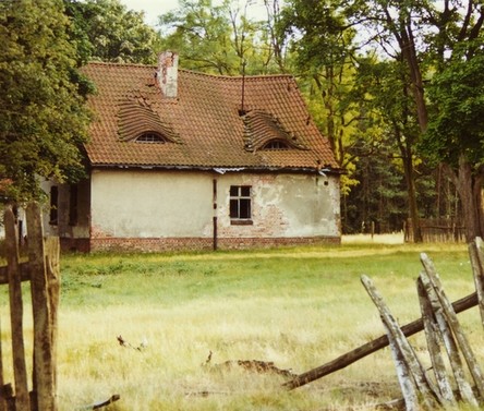 To tutaj, po Babci złoty naparstek. To ważne... Że tutaj...