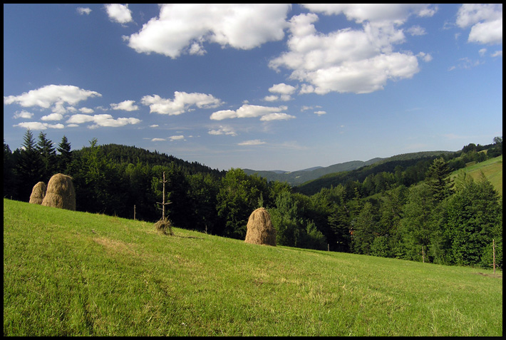 Sądecczyzna