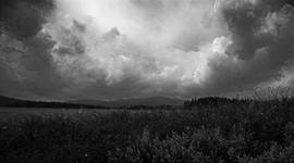 Bieszczady BW