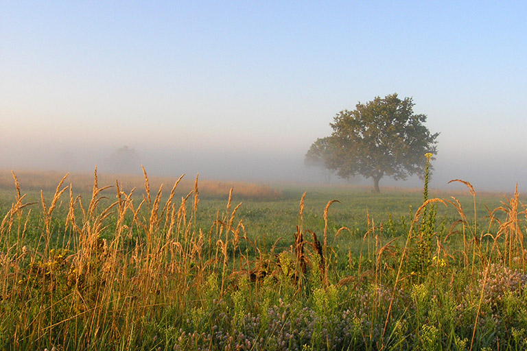 Wstaje nowy dzień