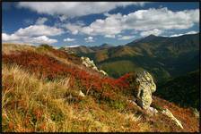 Tatry kolorem zdobione