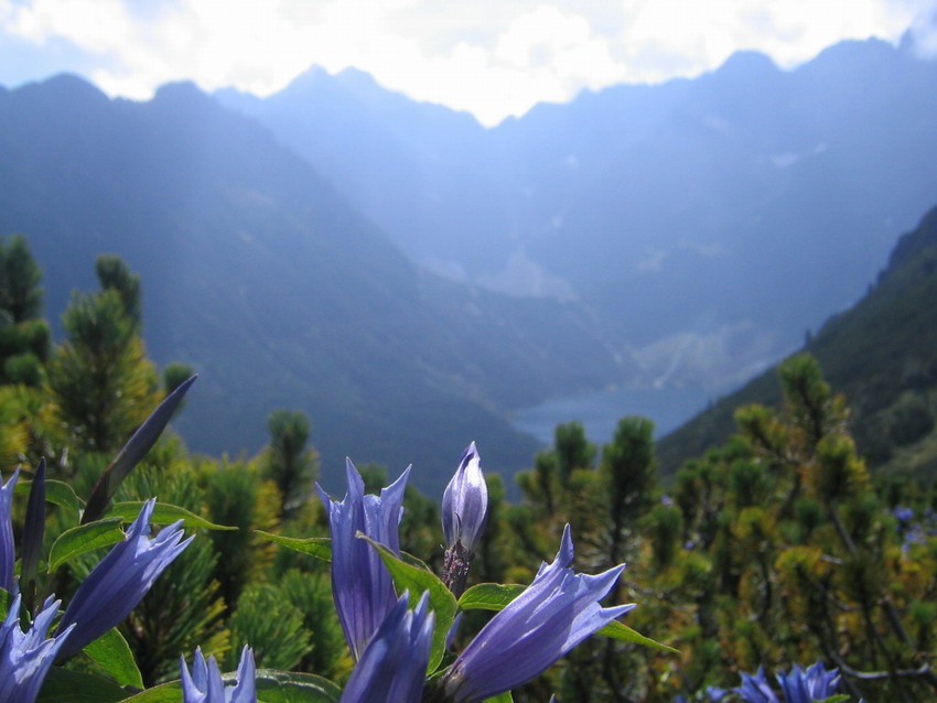 Tatry