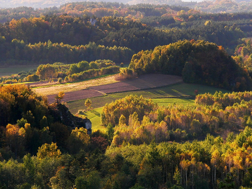 Jurajska Jesień