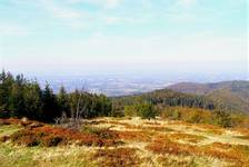 Beskid cd