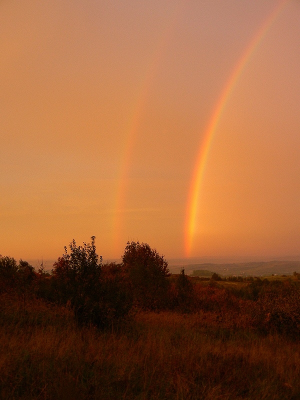 podwójna