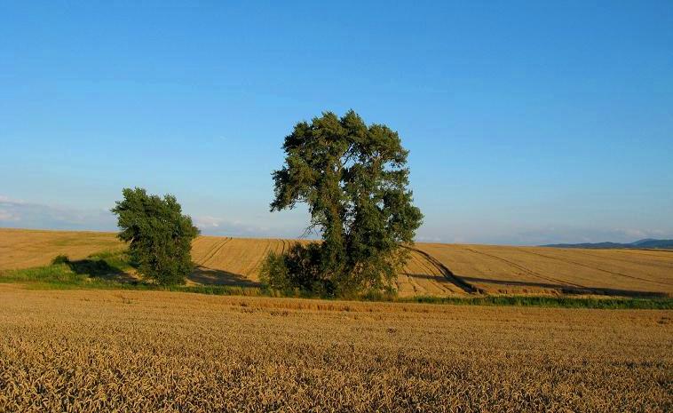 koniec lata