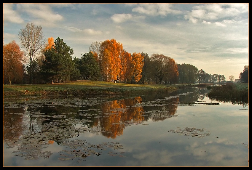 Ozłocone