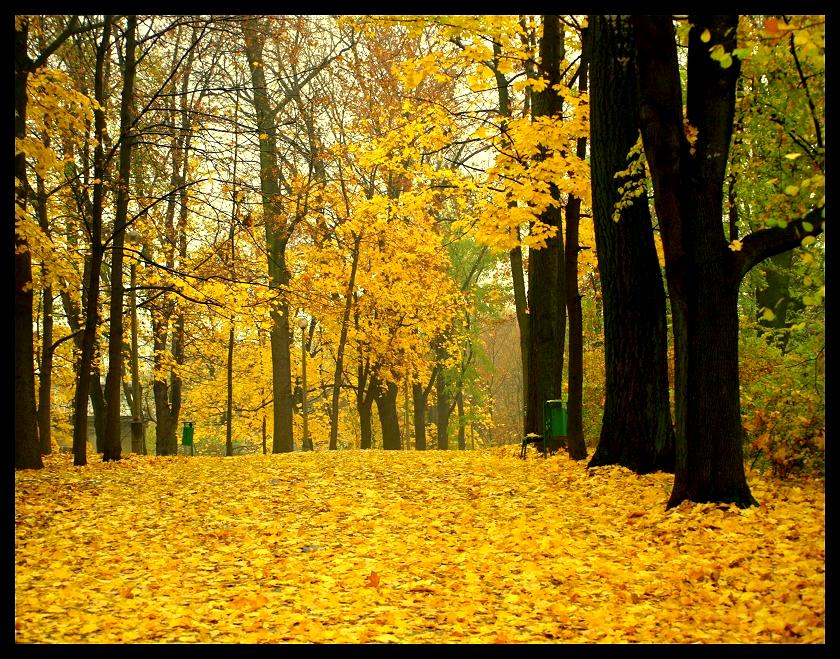 Jesien na krakowskim Podgorzu