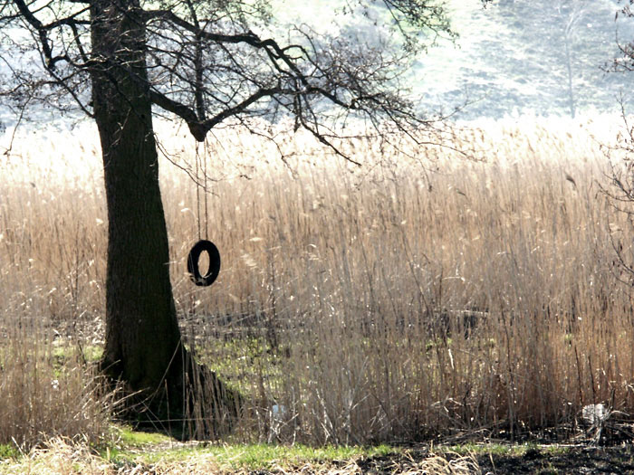 Droga nad zalew