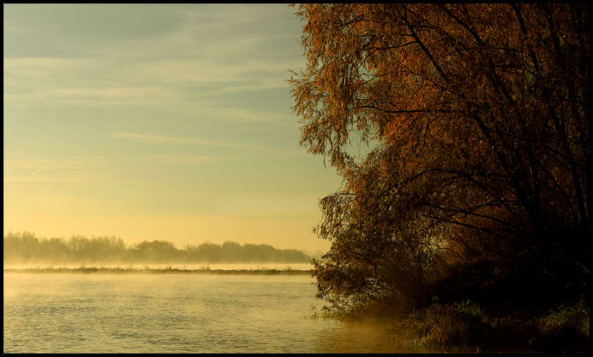 poranek nad Wisłą