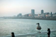 Brighton Pier