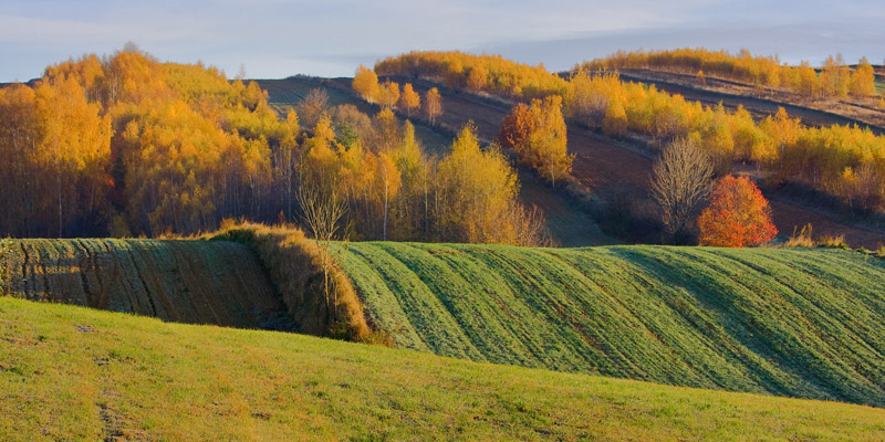 Świętokrzyszczyzna