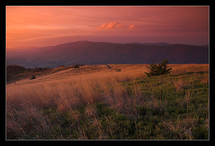 Bieszczady, Połonina Wetlińska