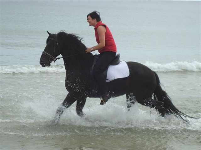 Na plaży