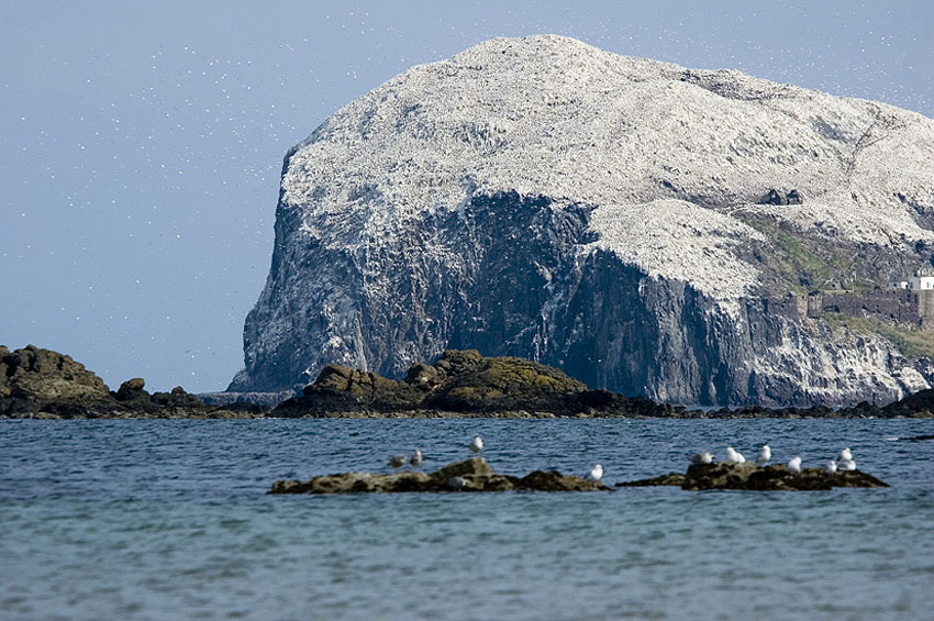 North Berwick