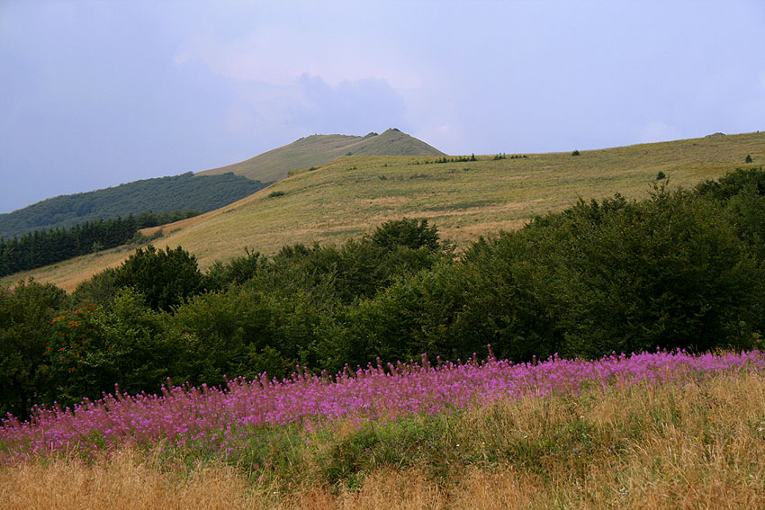 bieszczadzkie kolory