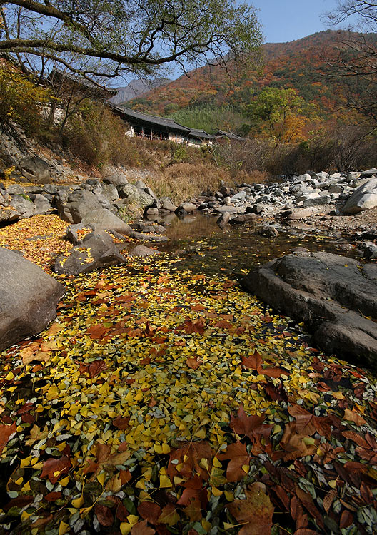 Pyeochungsa